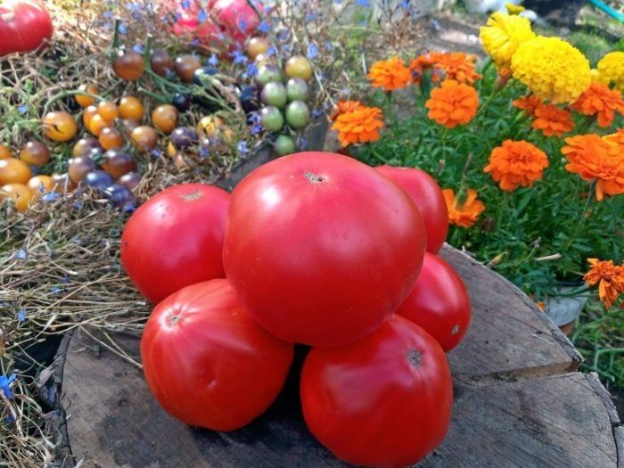 ����� ������: ��������� ����� ��� ����������� � ������� �������������� ���������