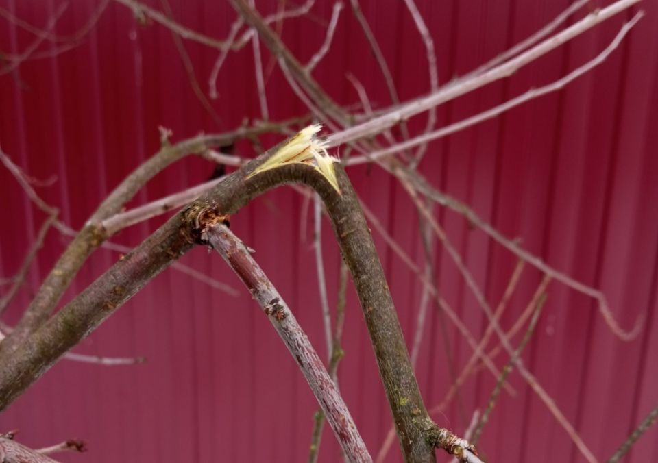 ���������, ����: ��� ������ �������� ������ �� ���������