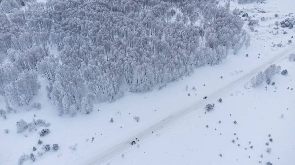 ����������� ��� �������: ����� ����� ������ ������� ����