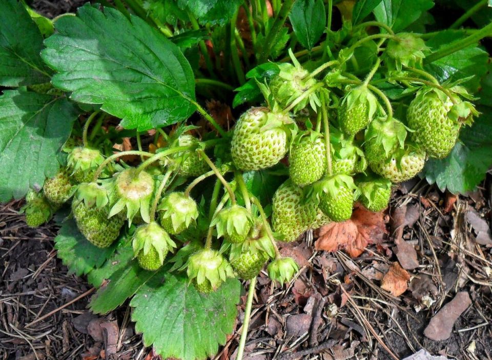 ������� �������� ��������� �������� � ������ ������ ����