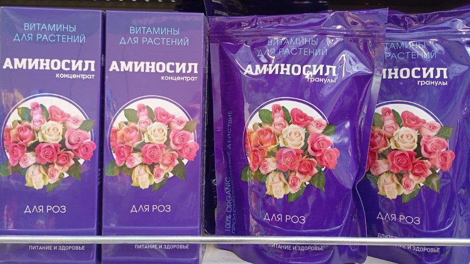 ��������: ��������� �������� ��� �������� ����� ��������