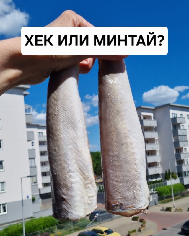 ��� � ������: ��� ������� ��� ��������� �����?