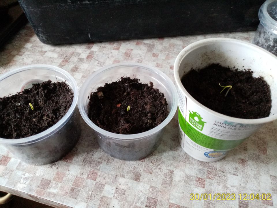 ������ ���� � ������: ��� ��������� ����� ������ �����