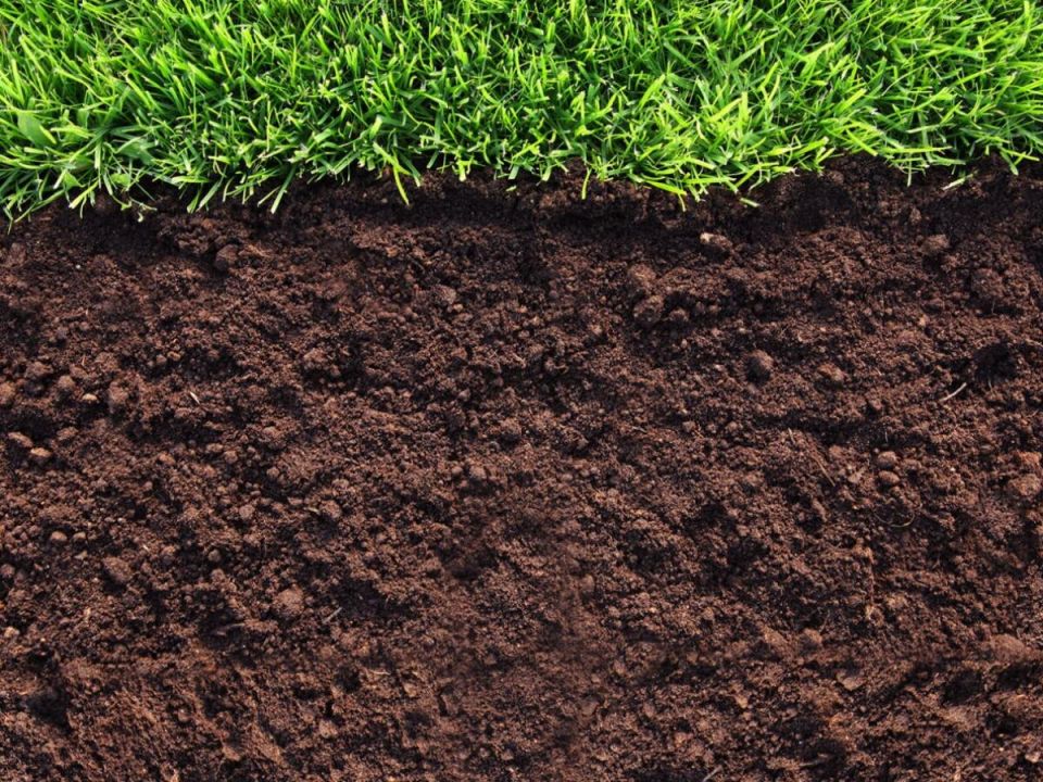 �������� � ����: ��� ��������� �������� ����������� ������