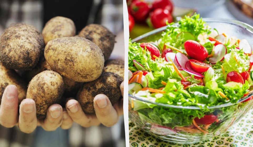 ����������� � ���������: ��� � ��� ������� ������ � ������