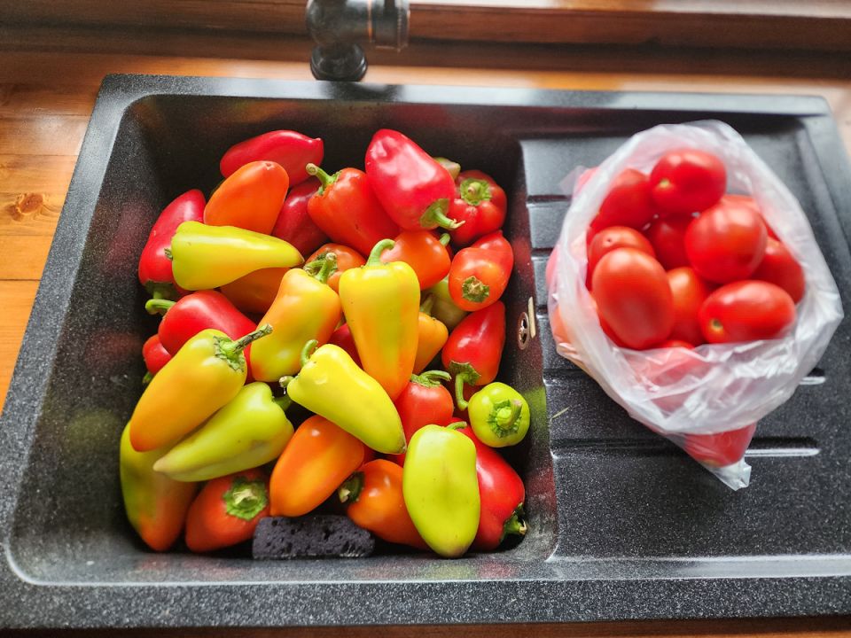 ���� ��-���������: ������� ������ � ����� � ���������� �������