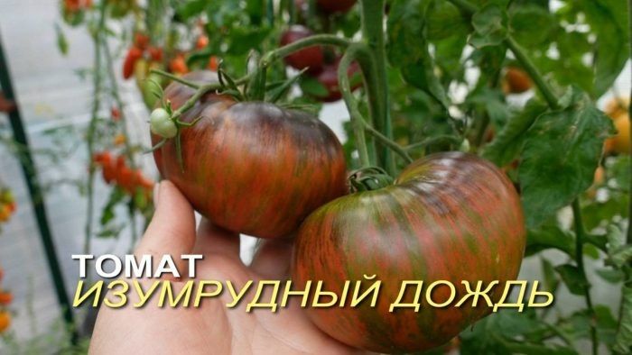 ���������� �����: ��������� ����� � ������������ �������� � ����� ������