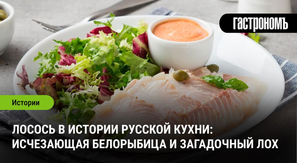 Лосось в истории русской кухни: как менялся вкус и привычки за столом