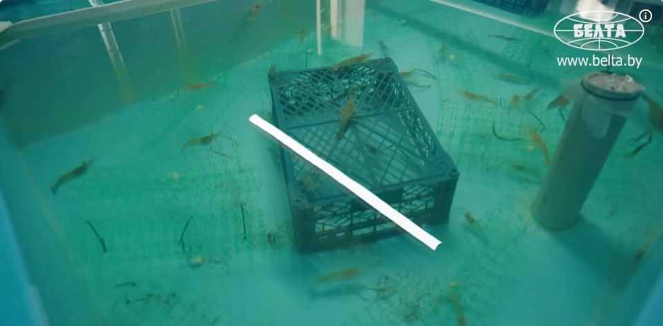 ����������� � ��������� �� ����������� �������� � �� ������������ ����