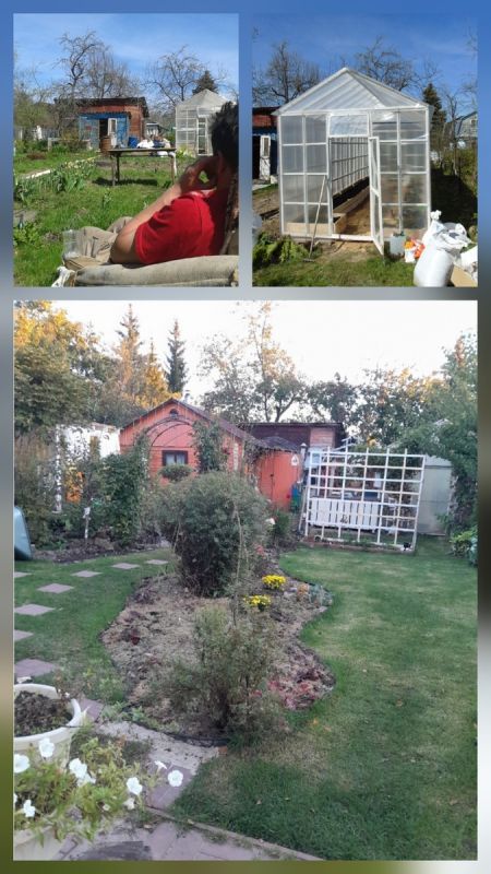 Путь к саду мечты: спокойное преображение участка скромной усадьбы