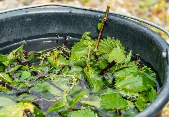 ��� ��������� ������������ ���������� ��� ���� � �������