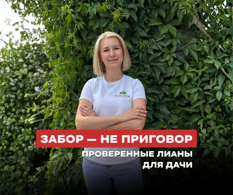 ������ ����� � �������� �� ����: ������ �������� �������� ��� ����������� �� ����