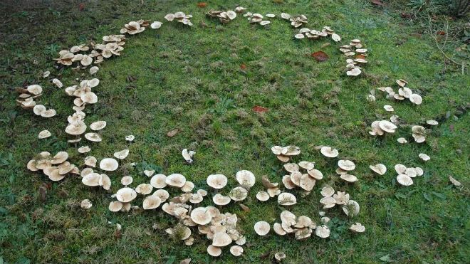 ������� ���� �� ������: ��� ���������� � ������������� ��������� ������