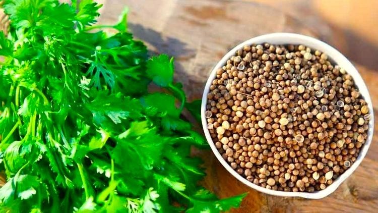 �����: ��� �������� ��������� ������ � ������ ����� ��� ������������