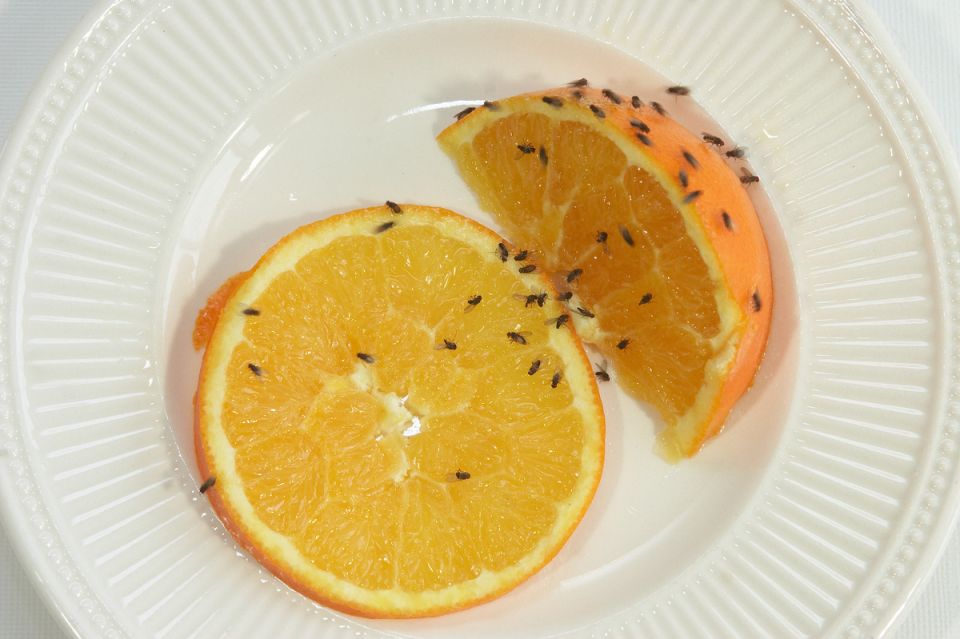 ��� ���������� �� �������� ����� �� ����� � �������� �� ��� ���������