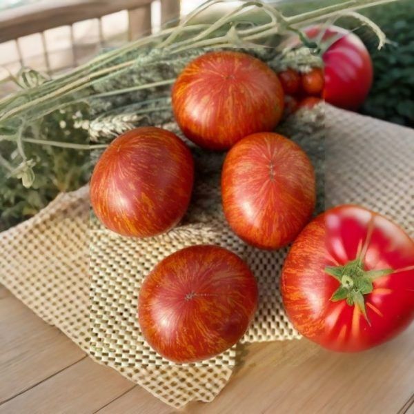 ����� ���������� ���������: ��� ��������� ������������ ���� � ���������� ������