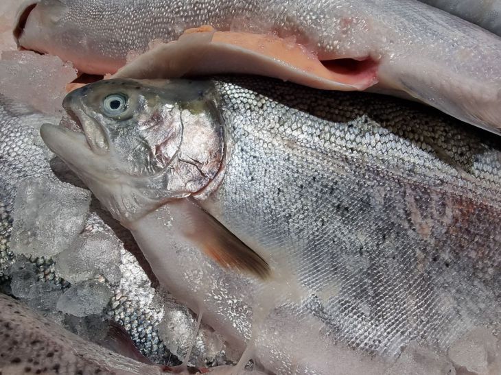 ������ �� �� �������? ���� ������ 2 ��������� �������� � �����-3 �� �������