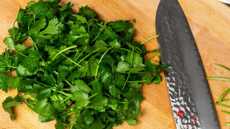 ��������� ������ ������� �����: �������� �������� �������� ����� ����� �������