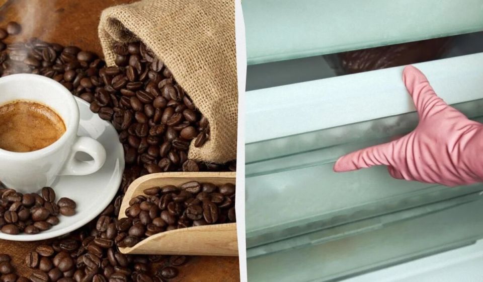 ��� ��������� ������ ���� �� ���������� �����: ������� ��������