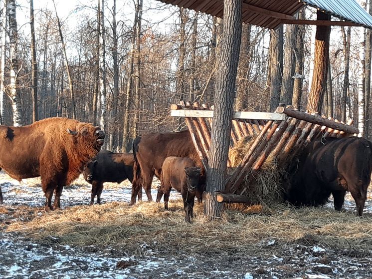 ������������ � �������� ����� ���������� ��������� ���������� �� ����� ��������� � ������������ ������