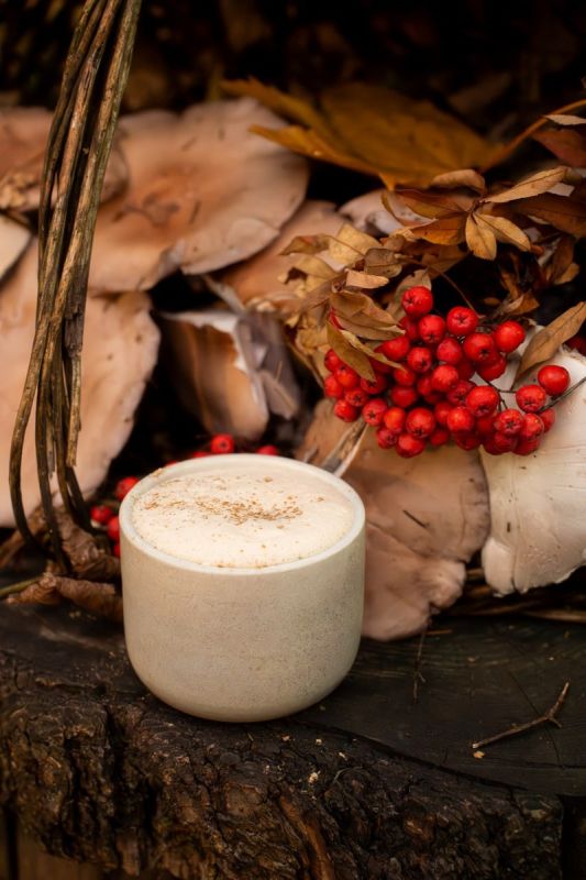 �������� ����: ��� ����� ����� � ����� �������� ������