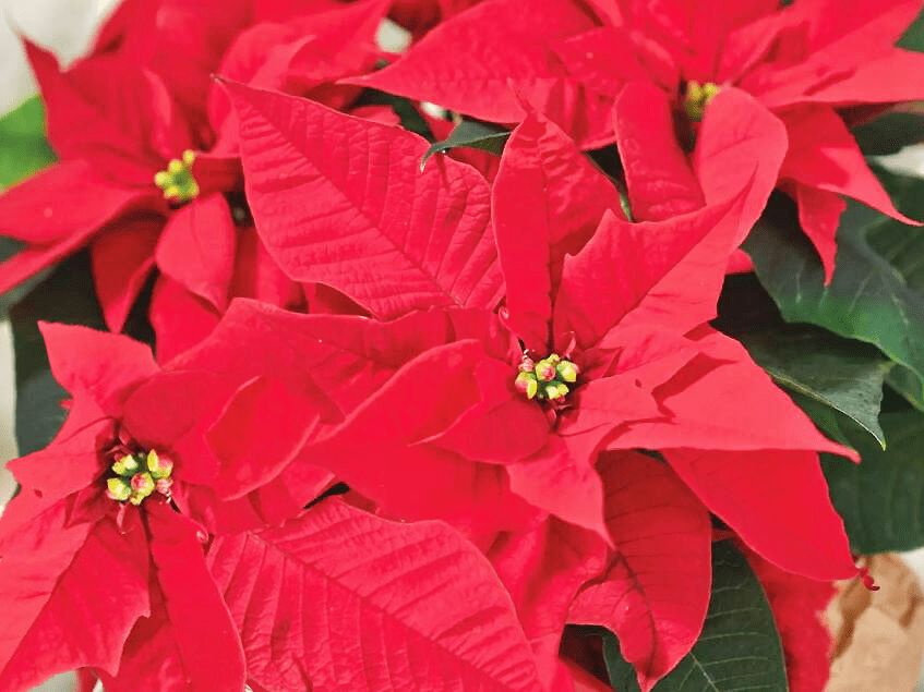 ����������: ���������� ��������� � ����� ����